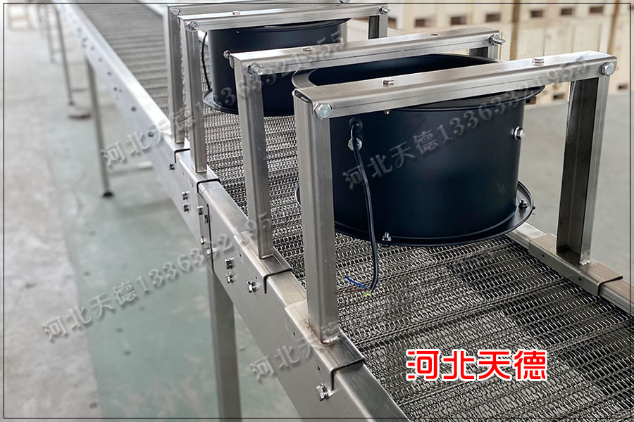 輸送機網(wǎng)帶